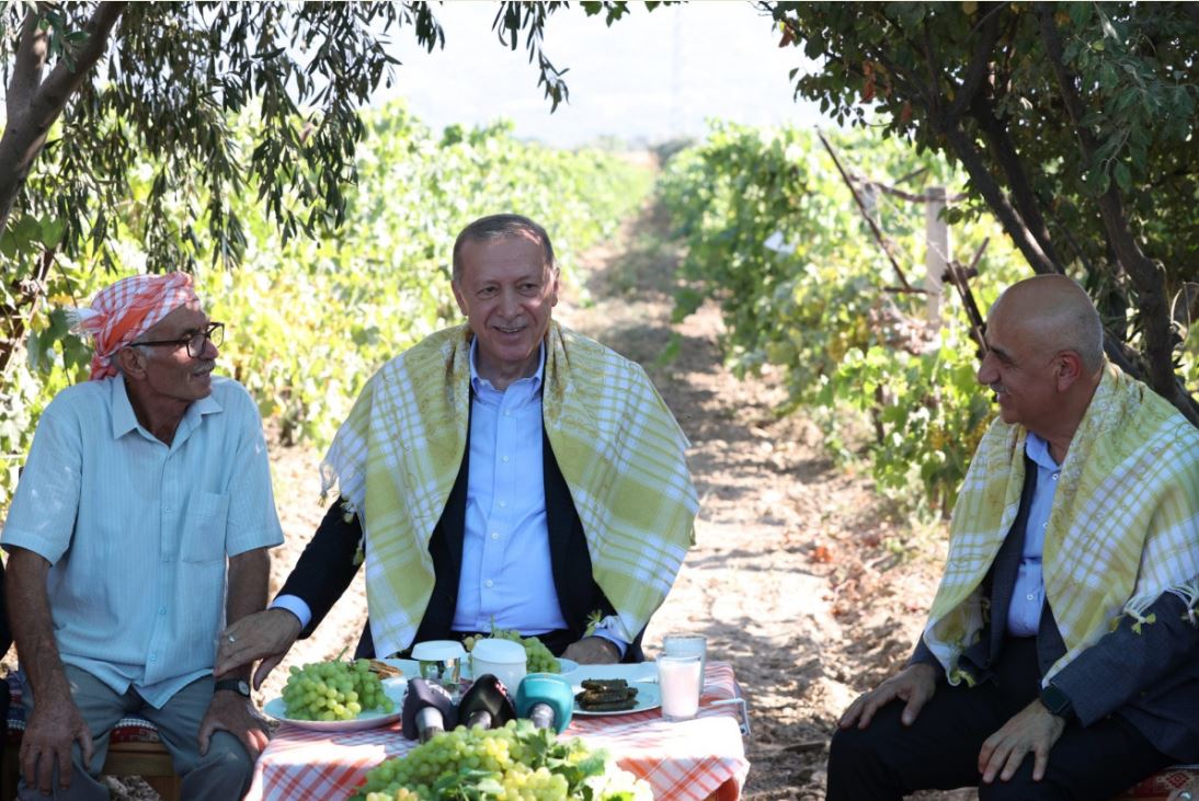 Cumhurbaşkanı Erdoğan üzüm hasadında 