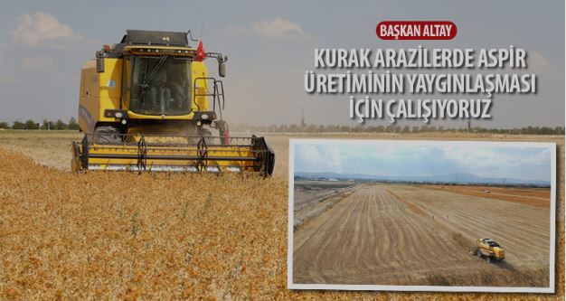 Başkan Altay: “Kurak Arazilerde Aspir Üretiminin Yaygınlaşması İçin Çalışıyoruz.”