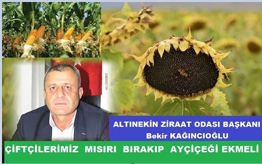 Başkan  Kağnıcıoğlu  : ''Mısırı bırakalım, ayçiçek ekelim''