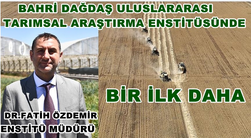 Türkiye'de kuraklığa dayanıklı çavdar üretildi