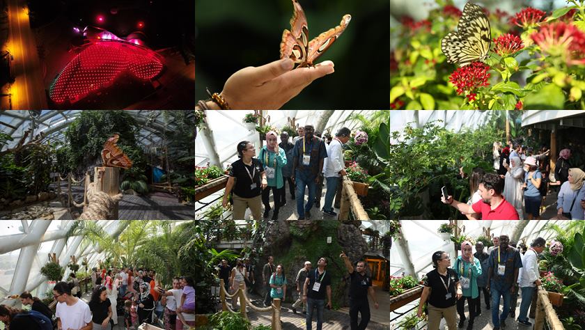Tropikal Kelebek Bahçesi Dolu Dolu Bir Yıl Geçirdi
