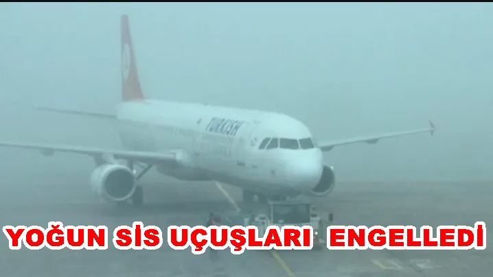  Konya'da uçuşlar yoğun sis nedeniyle iptal edildi