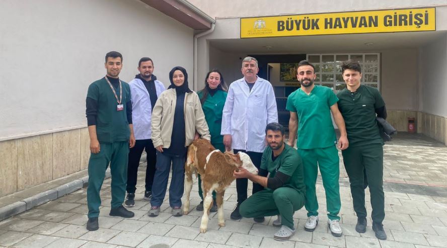Selçuk Üniversitesi Hayvan Hastanesinde Hayata Tutundu