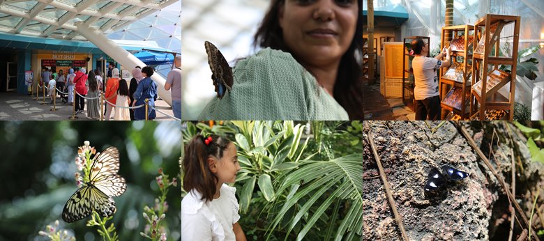 Konya Tropikal Kelebek Bahçesi Favori Ziyaret Mekanı Oldu