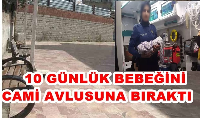 Pes  Dedirten  Vicdansızlık  