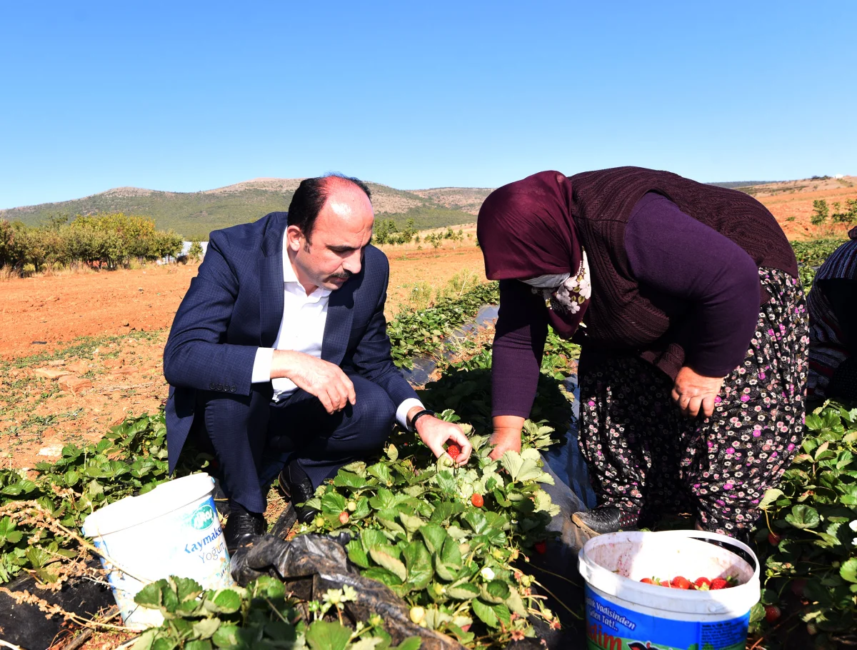 Başkan Altay: “Alın Teriyle Ülkemizin Üretim Gücüne Güç Katan Tüm Kadın Çiftçilerimizin Günü Kutlu Olsun”