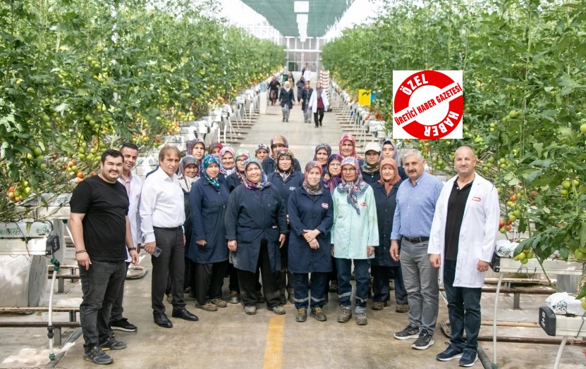 Konya’da Tarımda Devrim: Fabrika Atığıyla Beslenen 'Ultra-Klima' Serada Sıfır Kimyasal, Rekor Verim