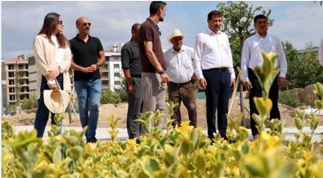 Konya Karatay'da yeşil dönüşüm mahallelerde sürüyor