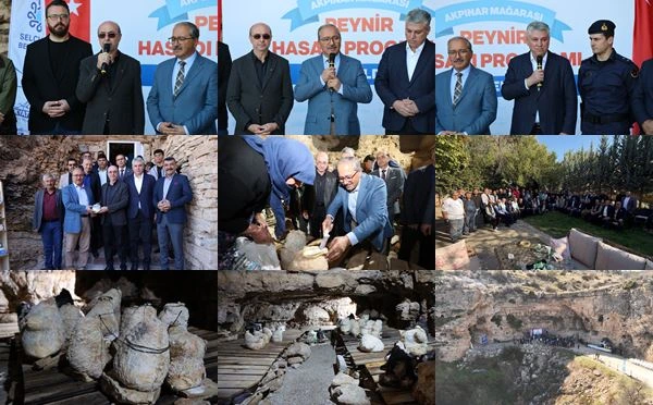 Selçuklu’da Peynir Hasadı Geleneği Sürüyor