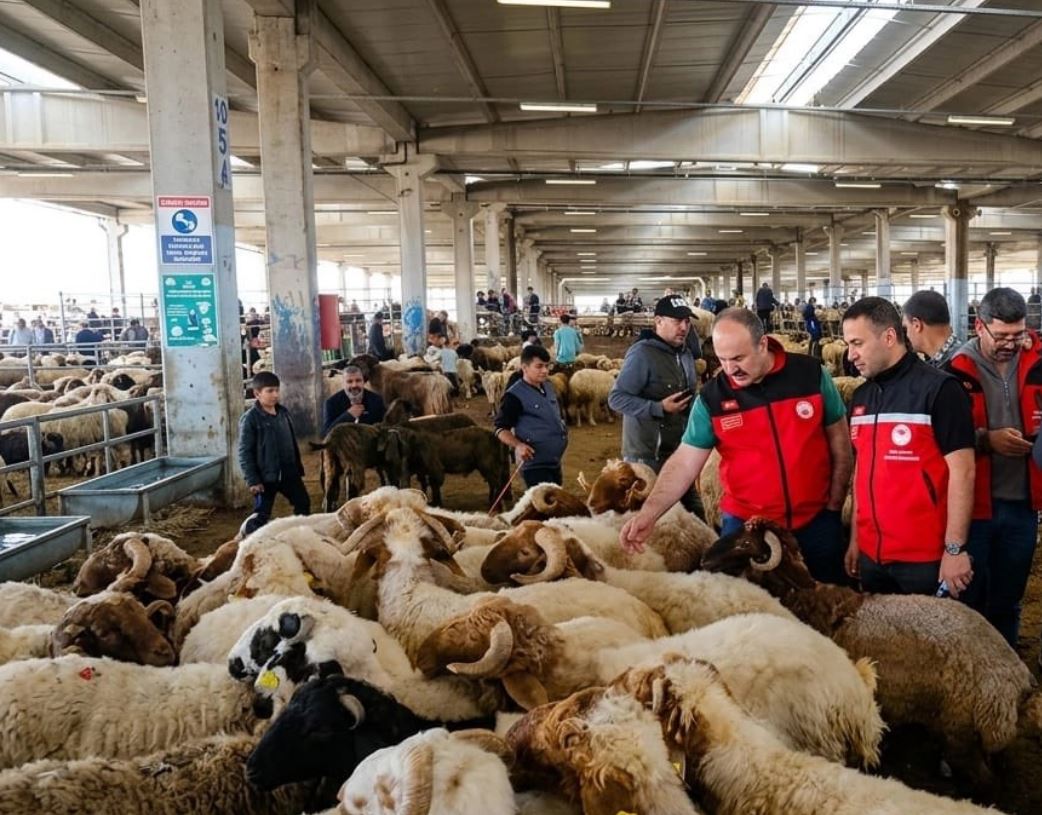 Kurban denetimleri 81 ilde sıkılaştırıldı